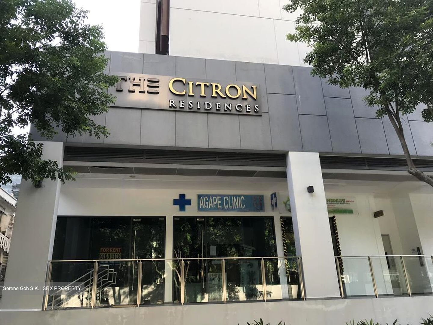 The Citron (D8), Shop House #451324171